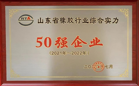 山東橡膠行業50強揭曉，濰坊順福昌橡塑公司榮膺殊榮并持續創新前行